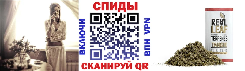 Бутират буратино  Куровское 