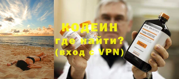 сатива Корсаков