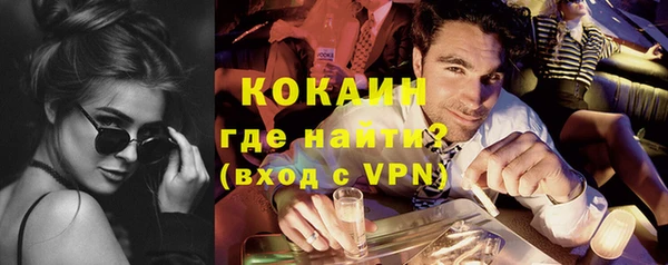 сатива Корсаков