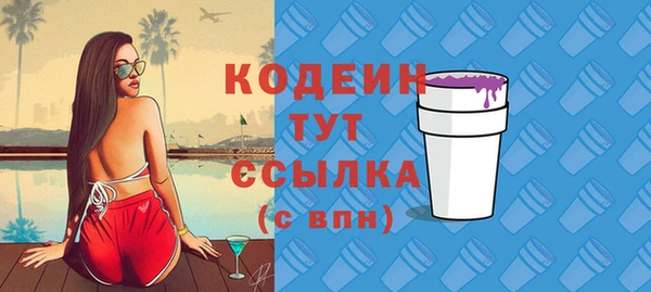 крисы Костерёво