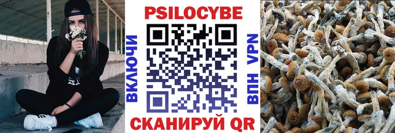 Галлюциногенные грибы мицелий  Куровское 